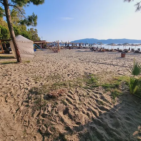 Teo's K Vlorë